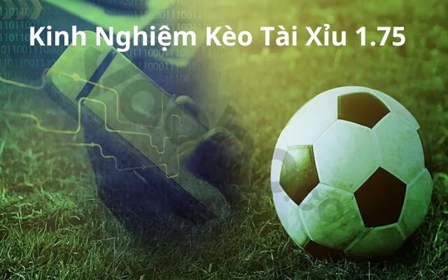 Kinh nghiệm chơi kèo tài xỉu 1.75