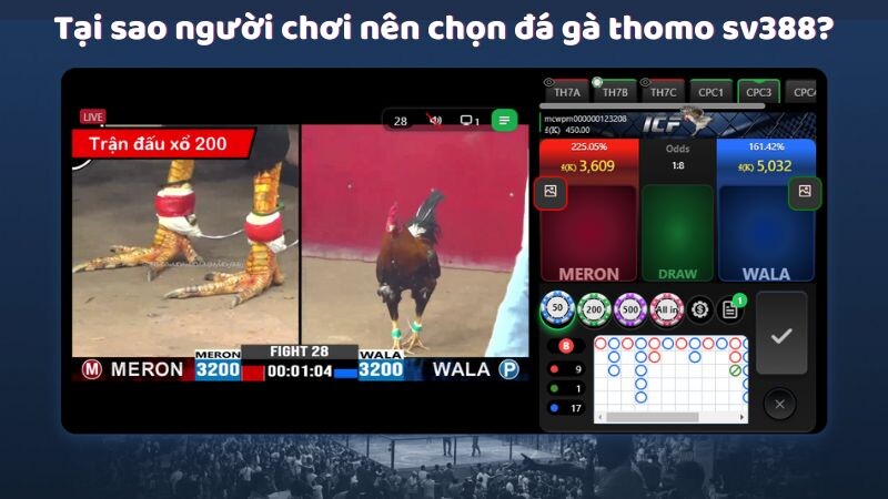 Tại sao người chơi nên chọn đá gà thomo sv388?