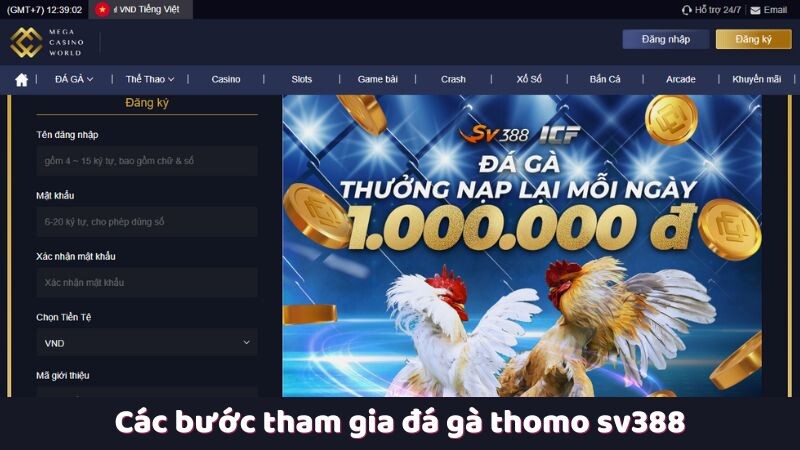 Các bước tham gia đá gà thomo sv388