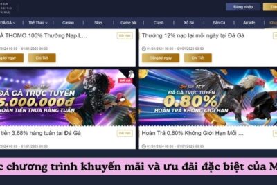 Giới Thiệu Website Trực Tiếp Đá Gà MCW – Điểm Đến Hàng Đầu 2024 Cho Cược Thủ