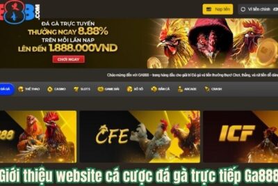 Ga888 – Trang Web Cược Đá Gà Online Hàng Đầu Tại Việt Nam