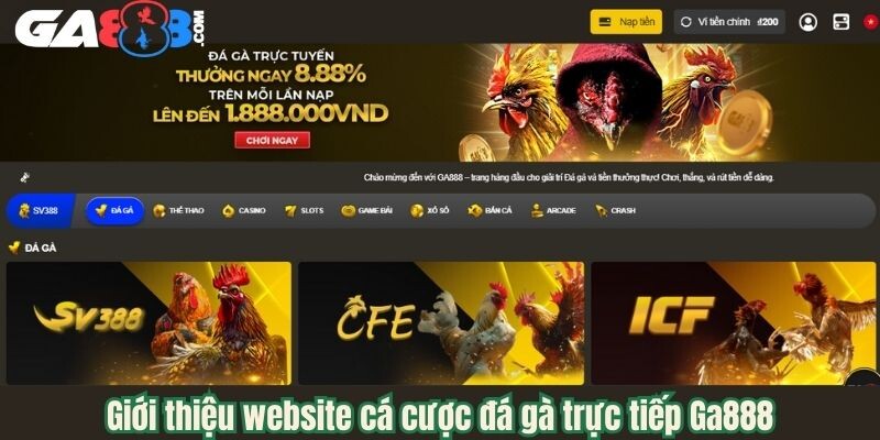 Giới thiệu website cá cược đá gà trực tiếp Ga888